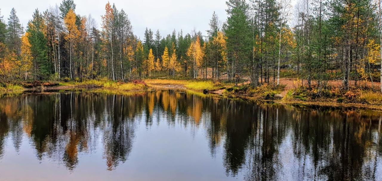 Cozy Log Cabin By Invisible Forest Lodge Rovaniemi Exteriör bild