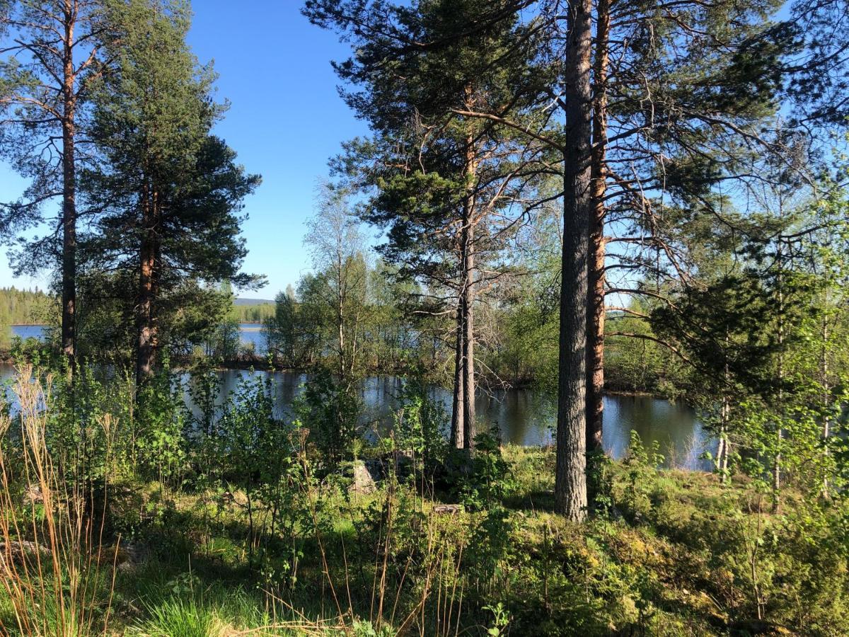 Cozy Log Cabin By Invisible Forest Lodge Rovaniemi Exteriör bild