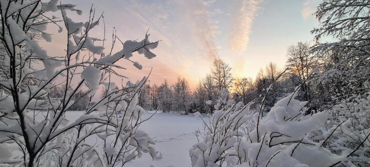 Cozy Log Cabin By Invisible Forest Lodge Rovaniemi Exteriör bild